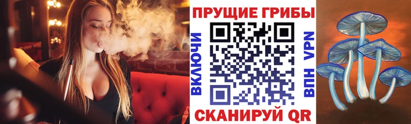 Псилоцибиновые грибы GOLDEN TEACHER  Купить  Новоаннинский 